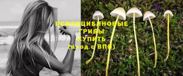 ПСИЛОЦИБИНОВЫЕ ГРИБЫ Алексин