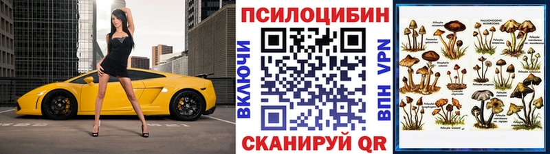 где найти наркотики площадка наркотические препараты Галлюциногенные грибы MAGIC MUSHROOMS Конаково